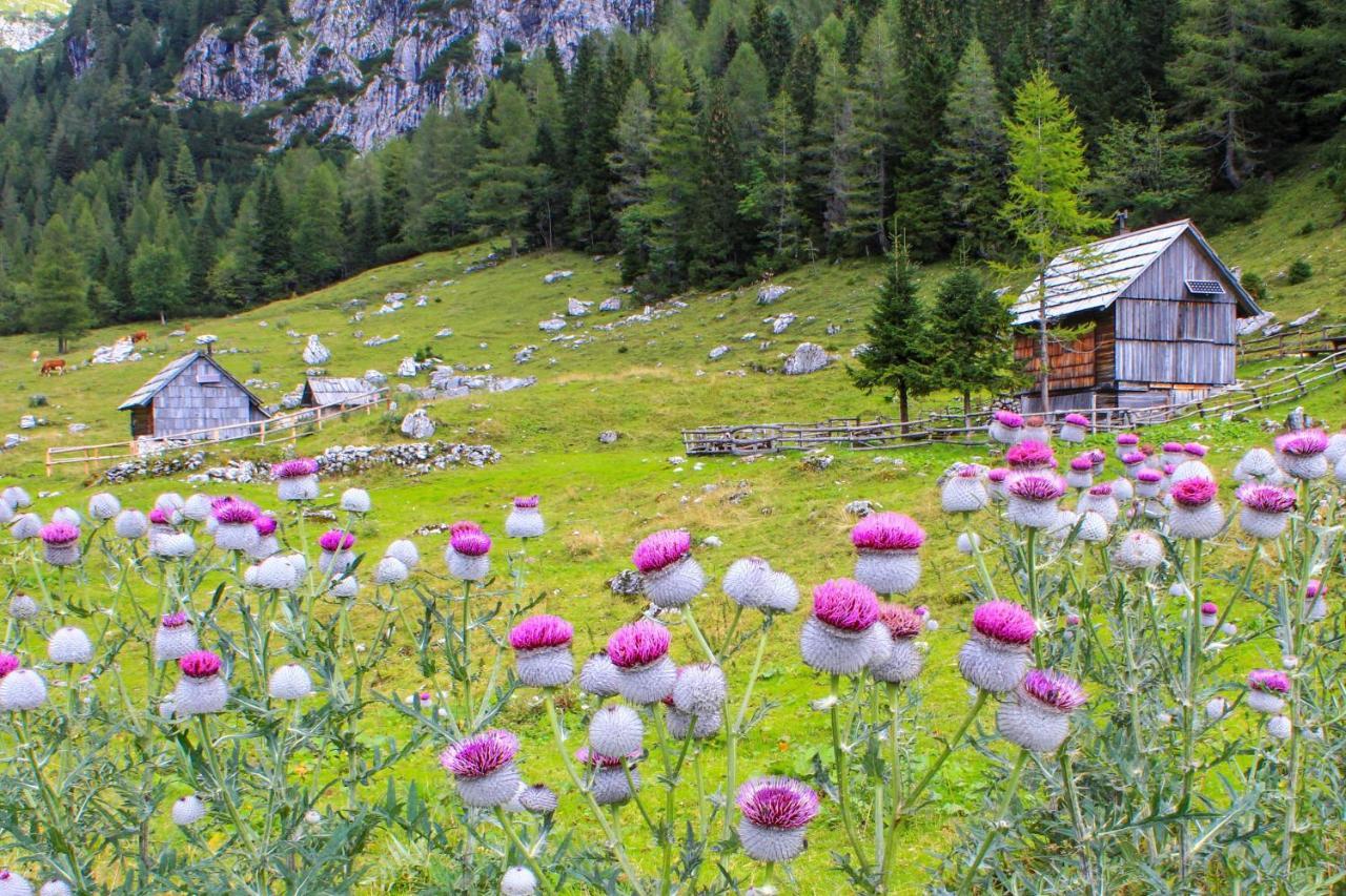 Cottage House Podgosar Bled Pokljuka Екстериор снимка