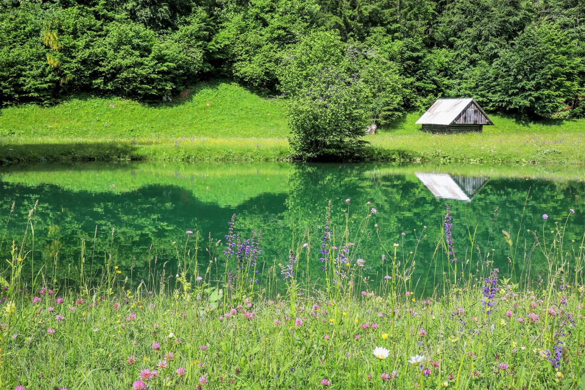 Cottage House Podgosar Bled Pokljuka Екстериор снимка